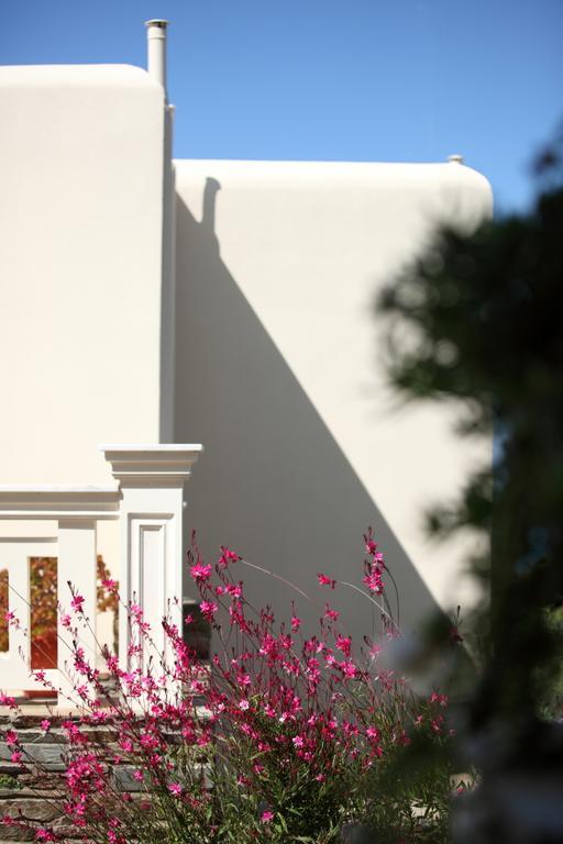 Aithra -Agios Petros Andros Gavrio Exterior foto